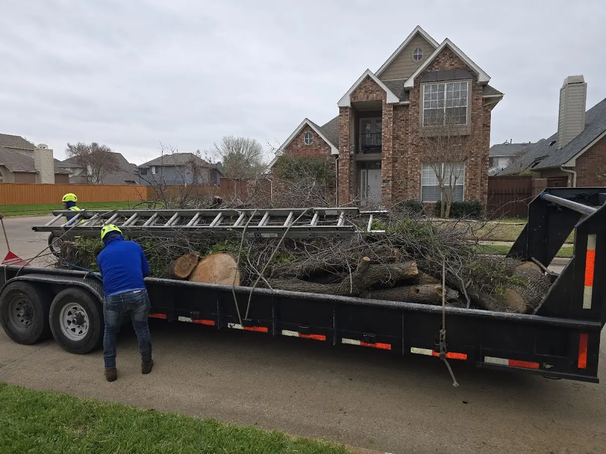 Expert Tree Removal with proper safety equipment in Crozier